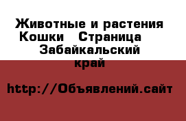 Животные и растения Кошки - Страница 9 . Забайкальский край